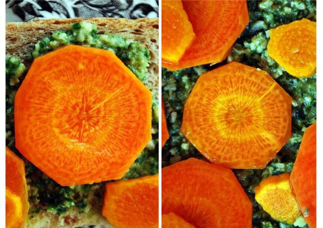 morcovi close up